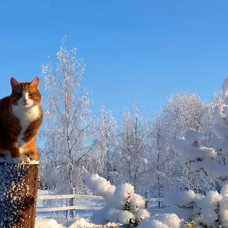 Appartement Matkailutila Lahdelma