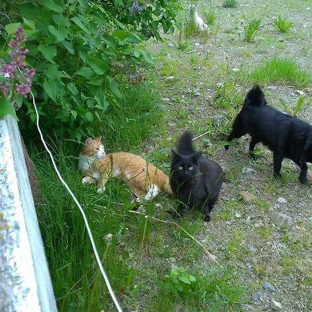 Matkailutila Lahdelma * Pertunmaa