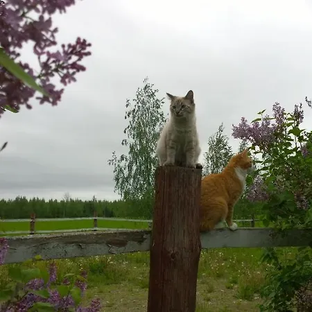 Appartement Matkailutila Lahdelma *
